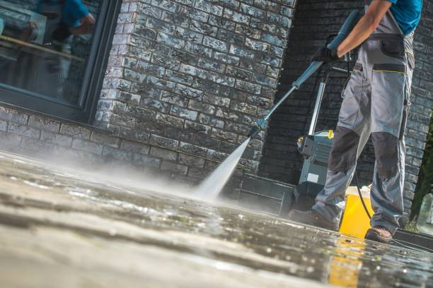 Boat and Dock Cleaning in Brocton, NY